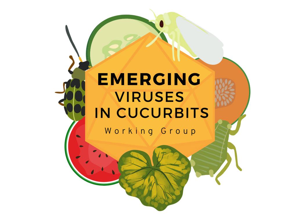 Emerging Viruses in Cucurbits Working Group logo.